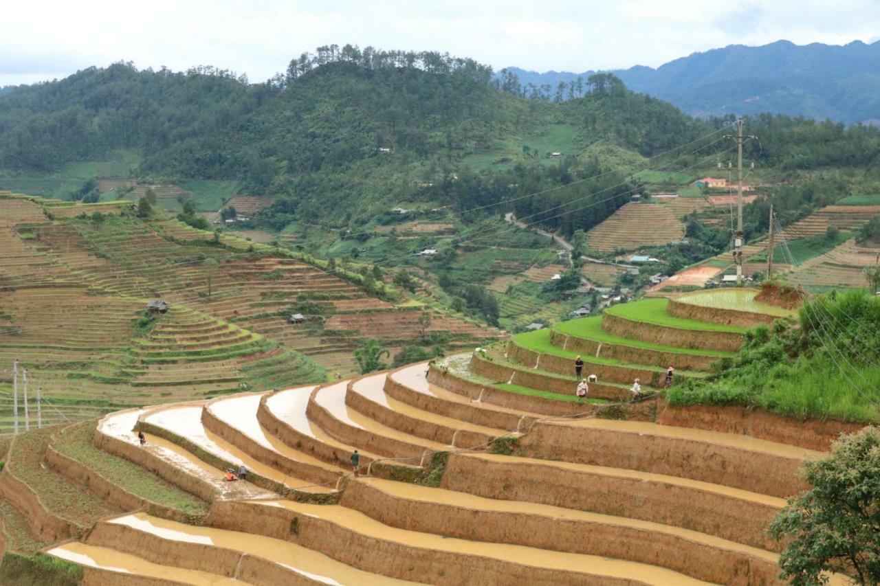 Do Gu Homestay Mu Cang Chai Εξωτερικό φωτογραφία