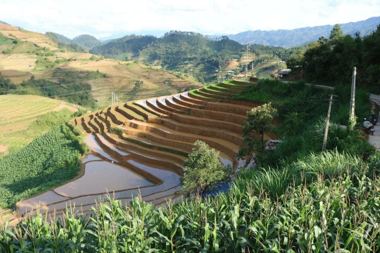 Do Gu Homestay Mu Cang Chai Εξωτερικό φωτογραφία