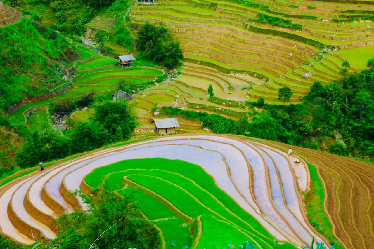 Do Gu Homestay Mu Cang Chai Εξωτερικό φωτογραφία