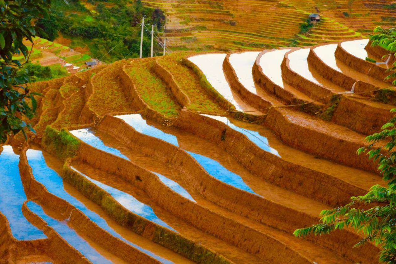 Do Gu Homestay Mu Cang Chai Εξωτερικό φωτογραφία