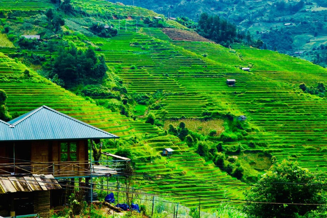 Do Gu Homestay Mu Cang Chai Εξωτερικό φωτογραφία